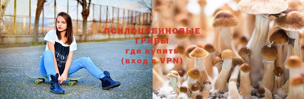скорость mdpv Богданович